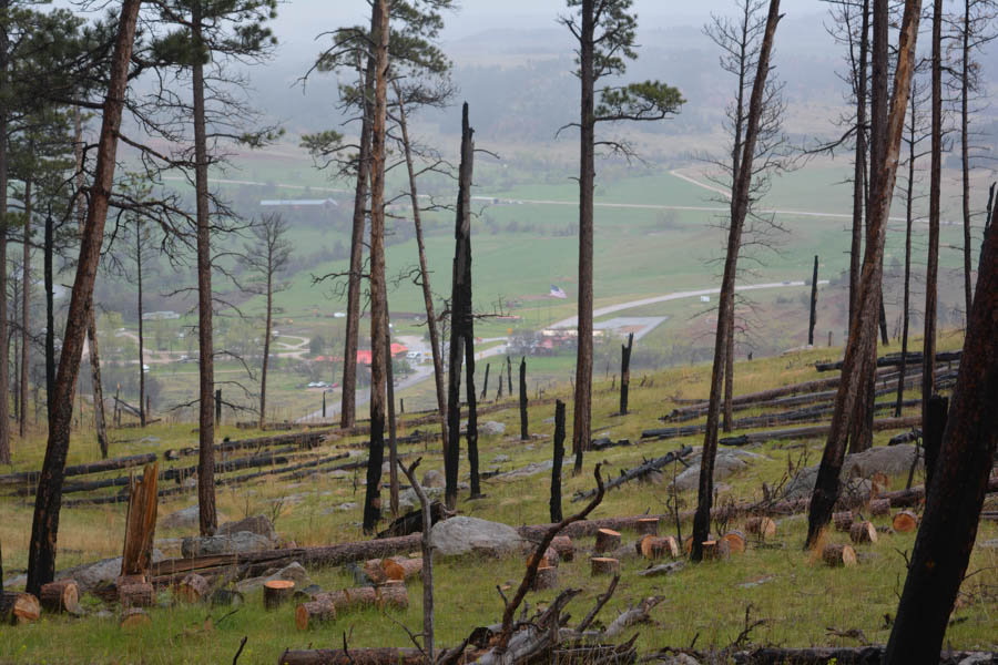 Kathy goes to the Devils Tower May 2015