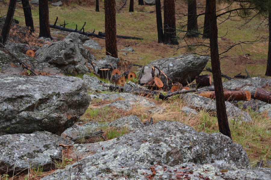 Kathy goes to the Devils Tower May 2015