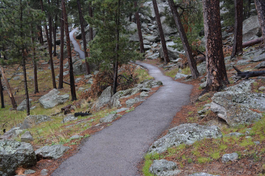 Kathy goes to the Devils Tower May 2015