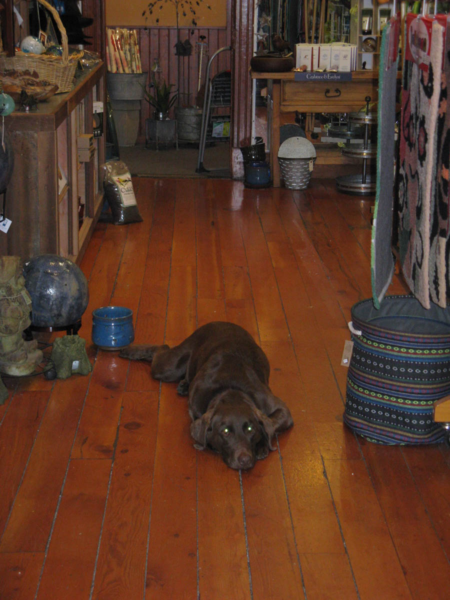 Bob and Sandy head for home after a 30 day motorhome adventure