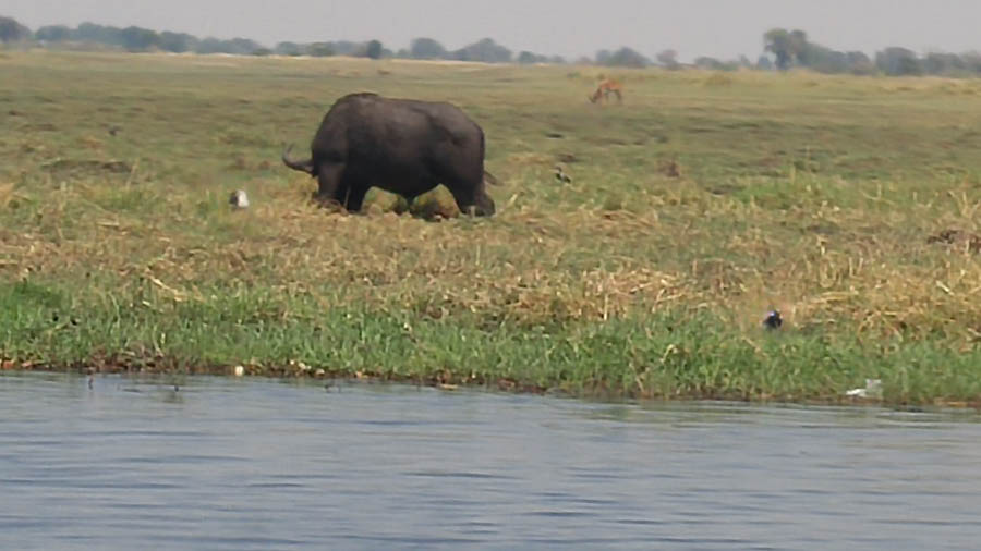 Janice visits Africa October 2016