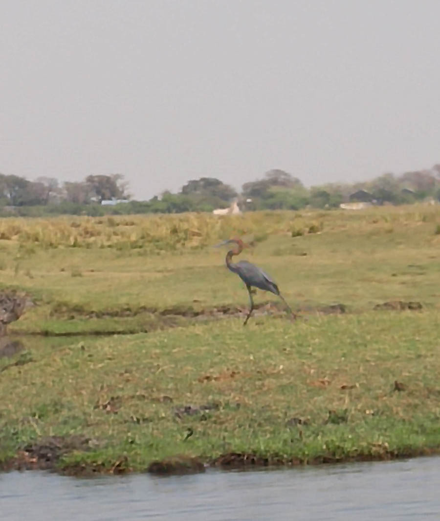 Janice visits Africa October 2016