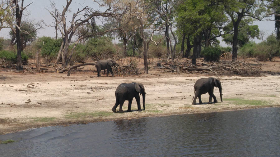 Janice visits Africa October 2016