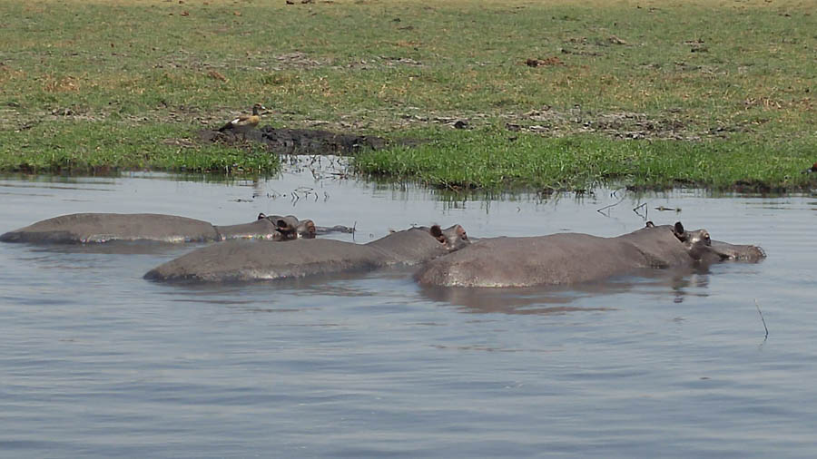 Janice visits Africa October 2016