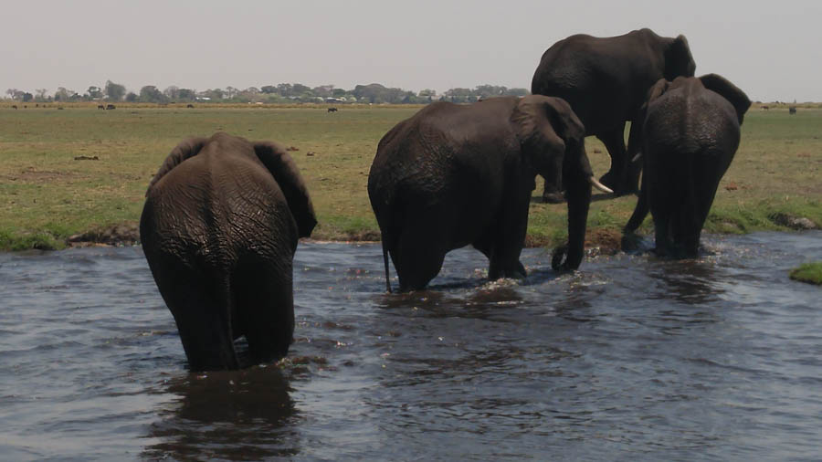 Janice visits Africa October 2016