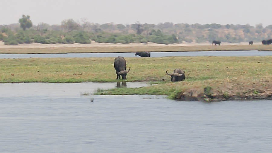 Janice visits Africa October 2016