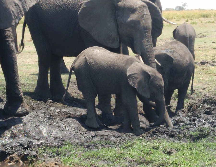 Janice visits Africa October 2016