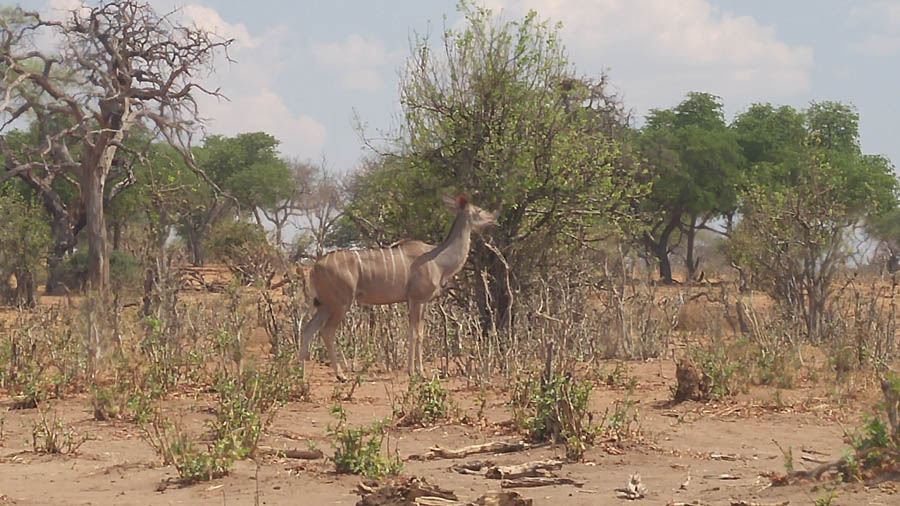 Janice visits Africa October 2016