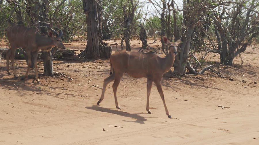 Janice visits Africa October 2016