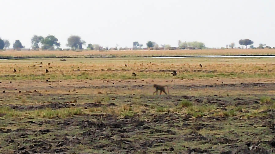 Janice visits Africa October 2016