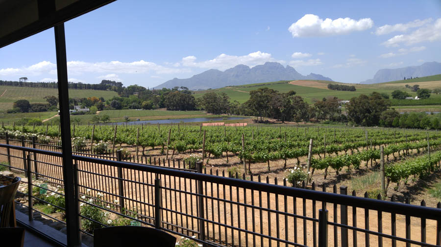 Visiting Wineland outside of Cape Town 2016