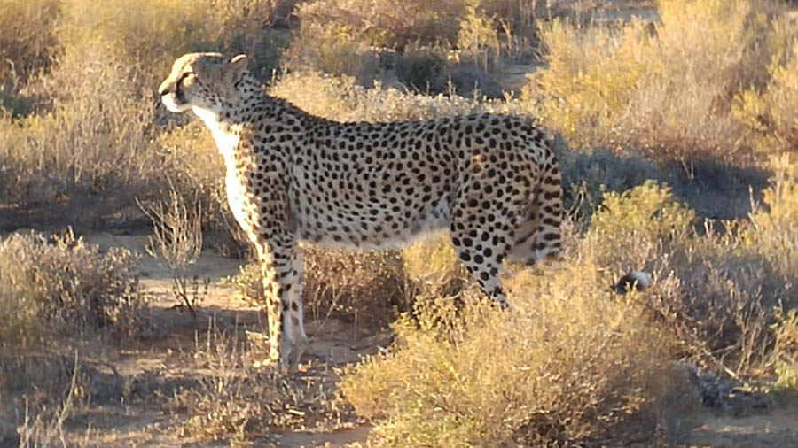 Inverdoorn Game Park Reserve