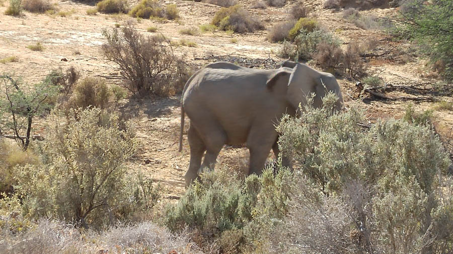 Day two at Inverdoorn Game Reserve South Africa