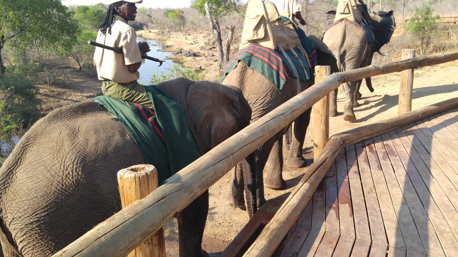 Janice visits Africa October 2016