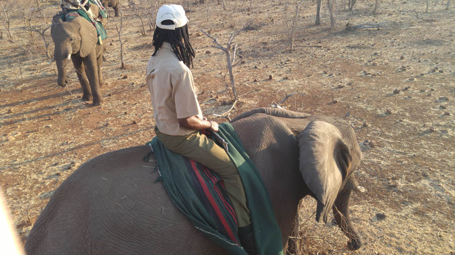 Janice visits Africa October 2016