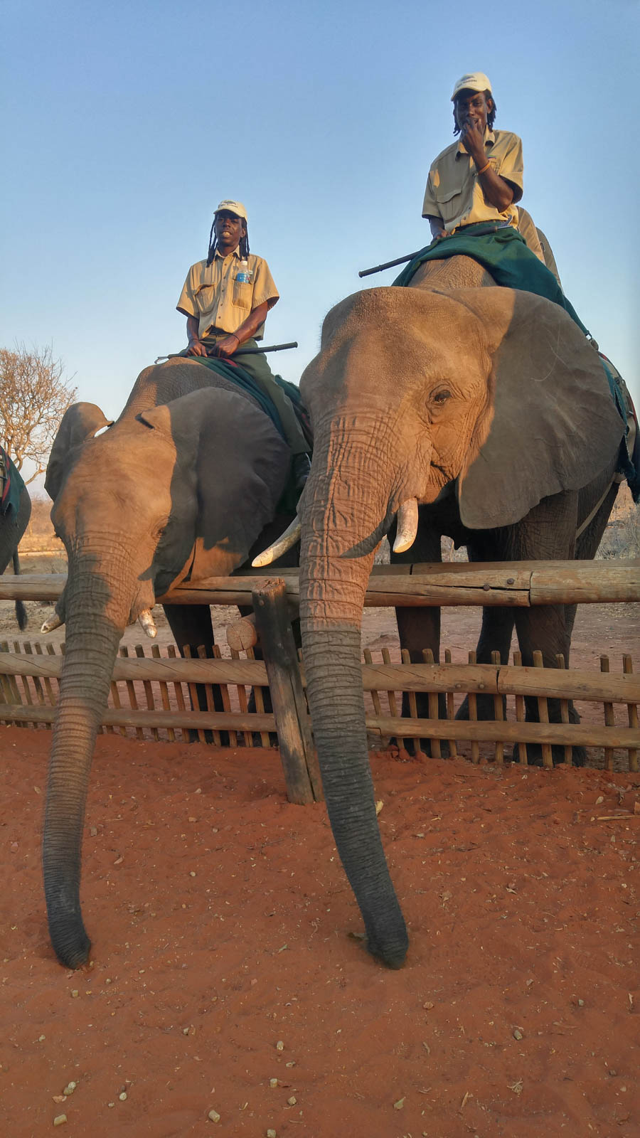 Janice visits Africa October 2016