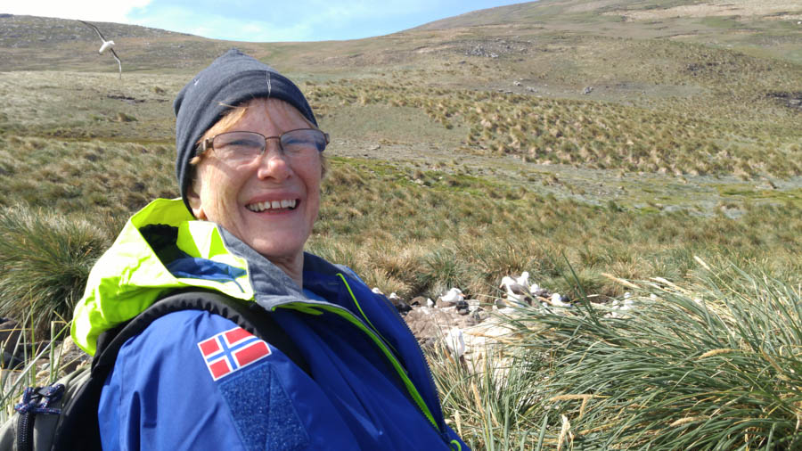 Visiting the Falkland Islands November 2016