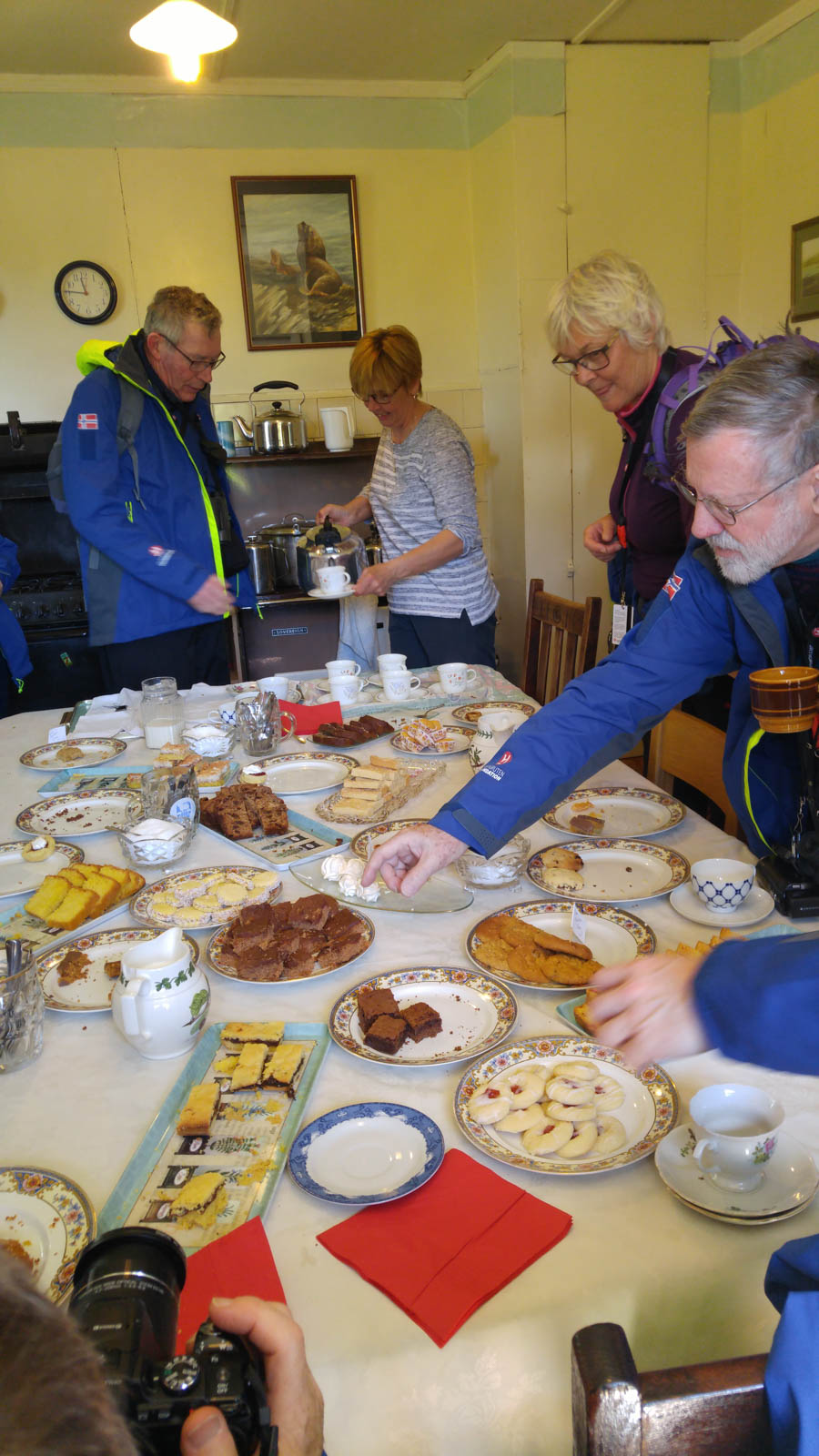 Visiting the Falkland Islands November 2016