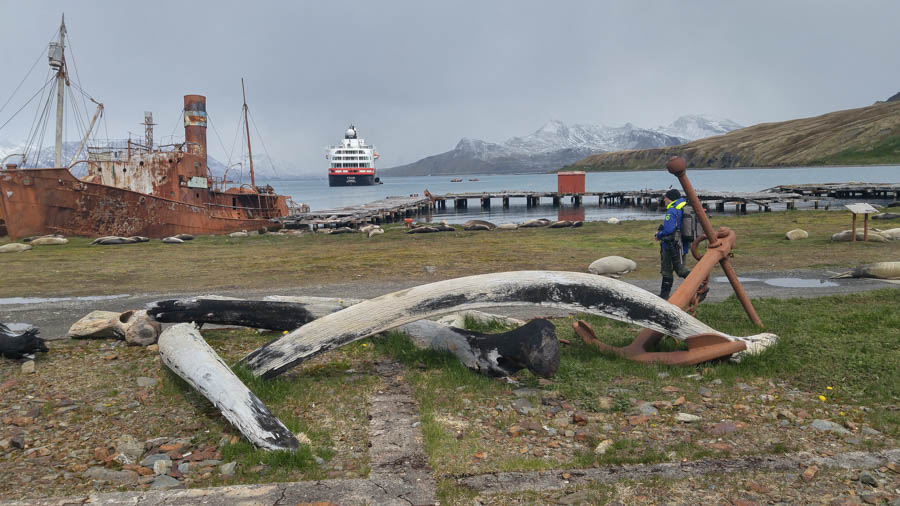 Cruising the Antarctic Sea