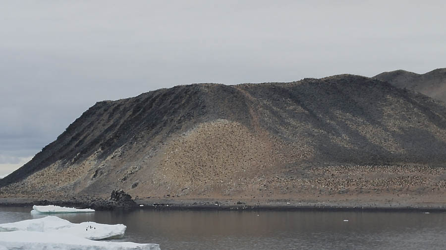 Brown Bluff Antarctica 12/10/2016