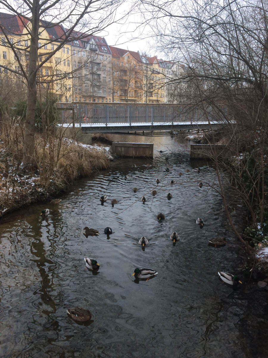 Cyndy and Harper visit Haley in Germany January 2017