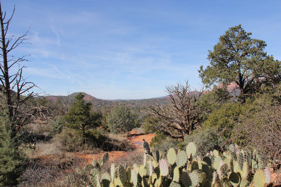 Enjoying Sedona Arizona before going home