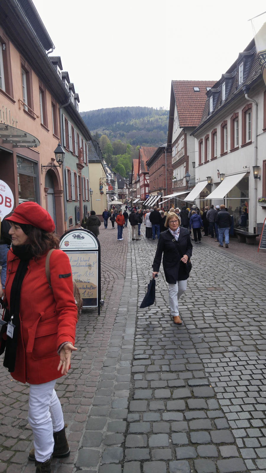 Cruise Day #5 - Visit to Miltenberg Germany 4/27/2017