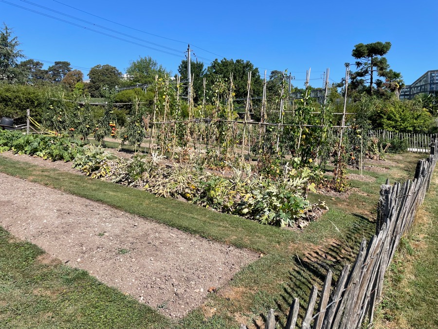 2025-08 Bob & Donna Go To Europe