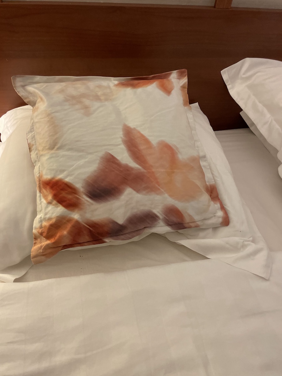 Bob and Donna Go To Europe August/September 2025