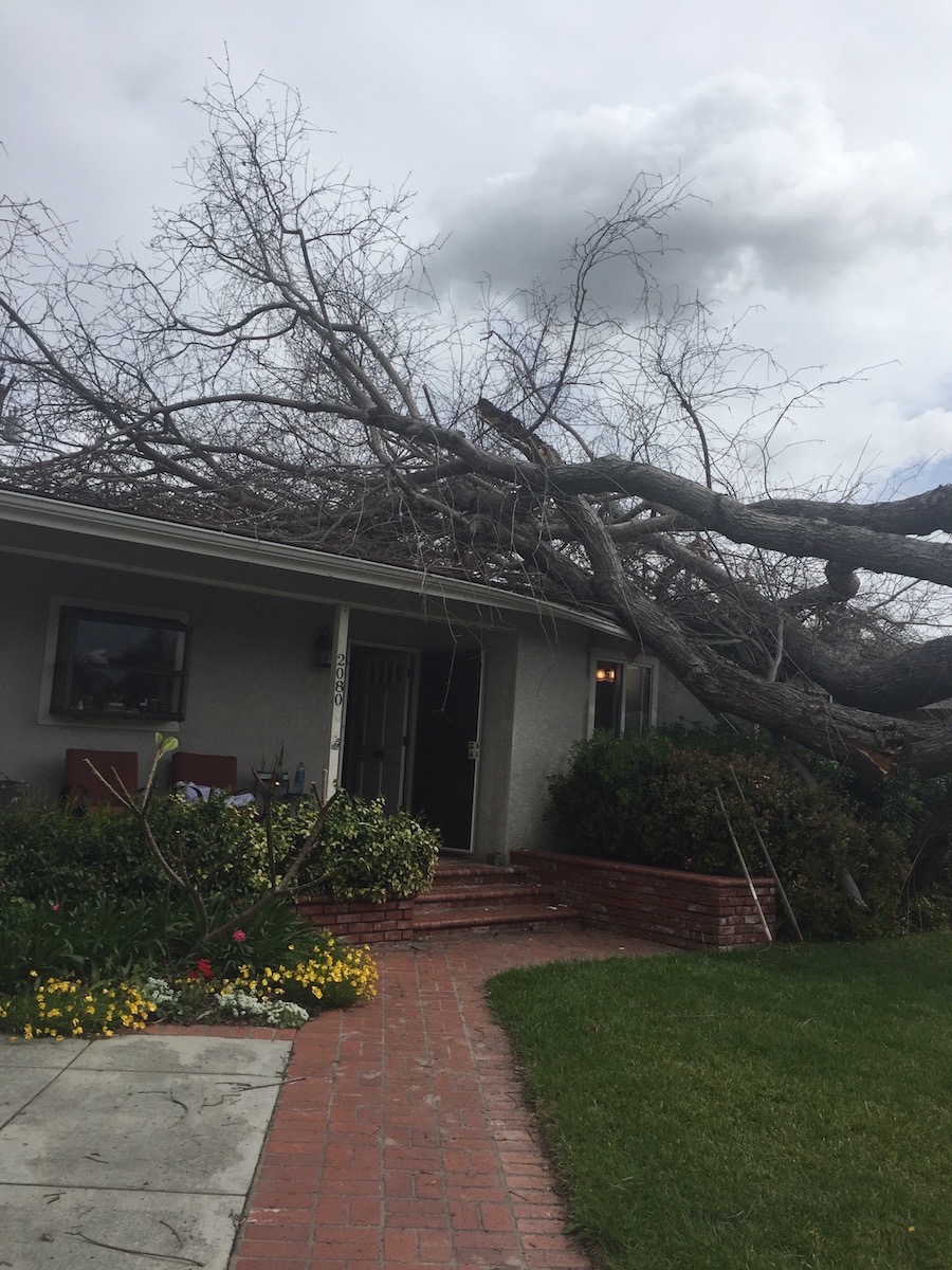 March 2016 storm results at the Leach Estate