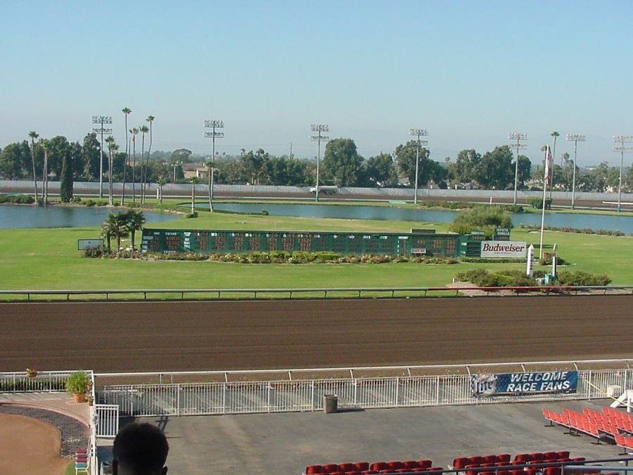 Horse Racing With Laurie