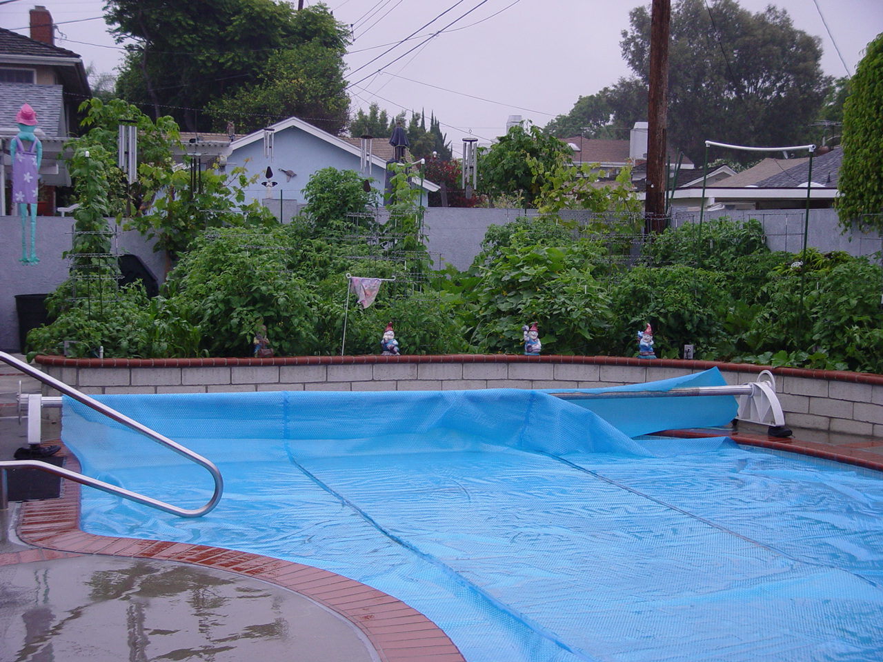 View from the other end of the pool