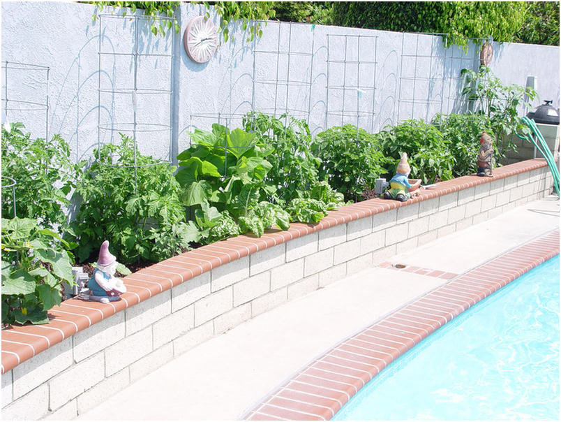 2006 garden