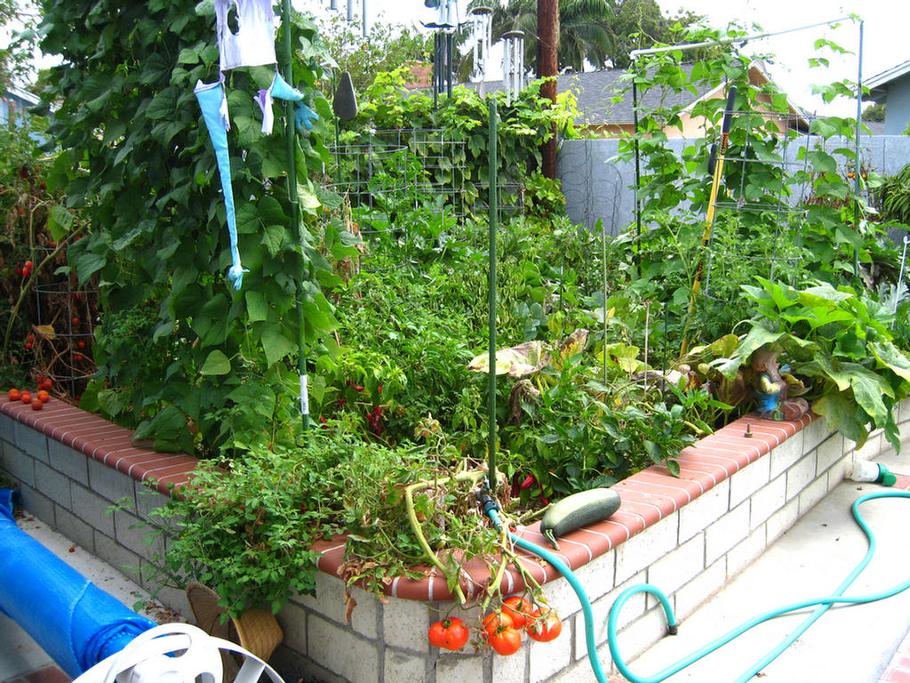 The Bounty of 2007
