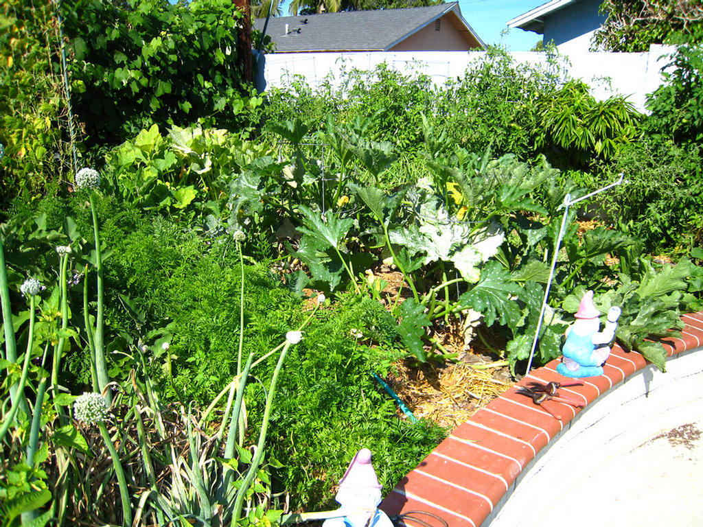 The Bounty of 2007