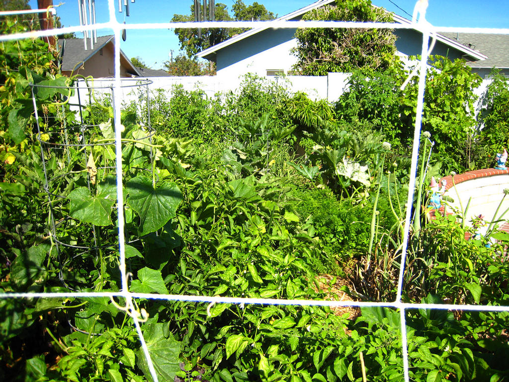 The Bounty of 2007