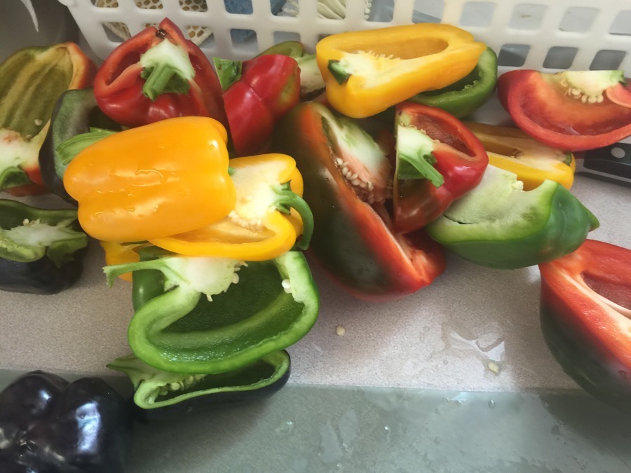 Ratatouille ingredients