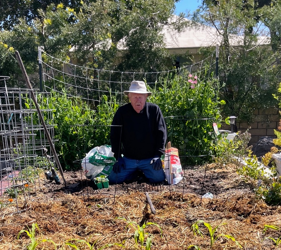 April in our 2023 garden