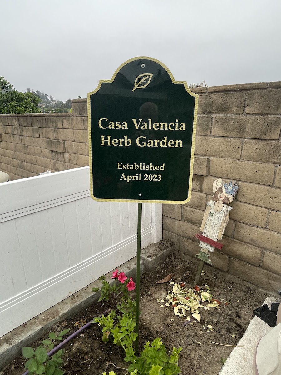 April in our 2023 garden