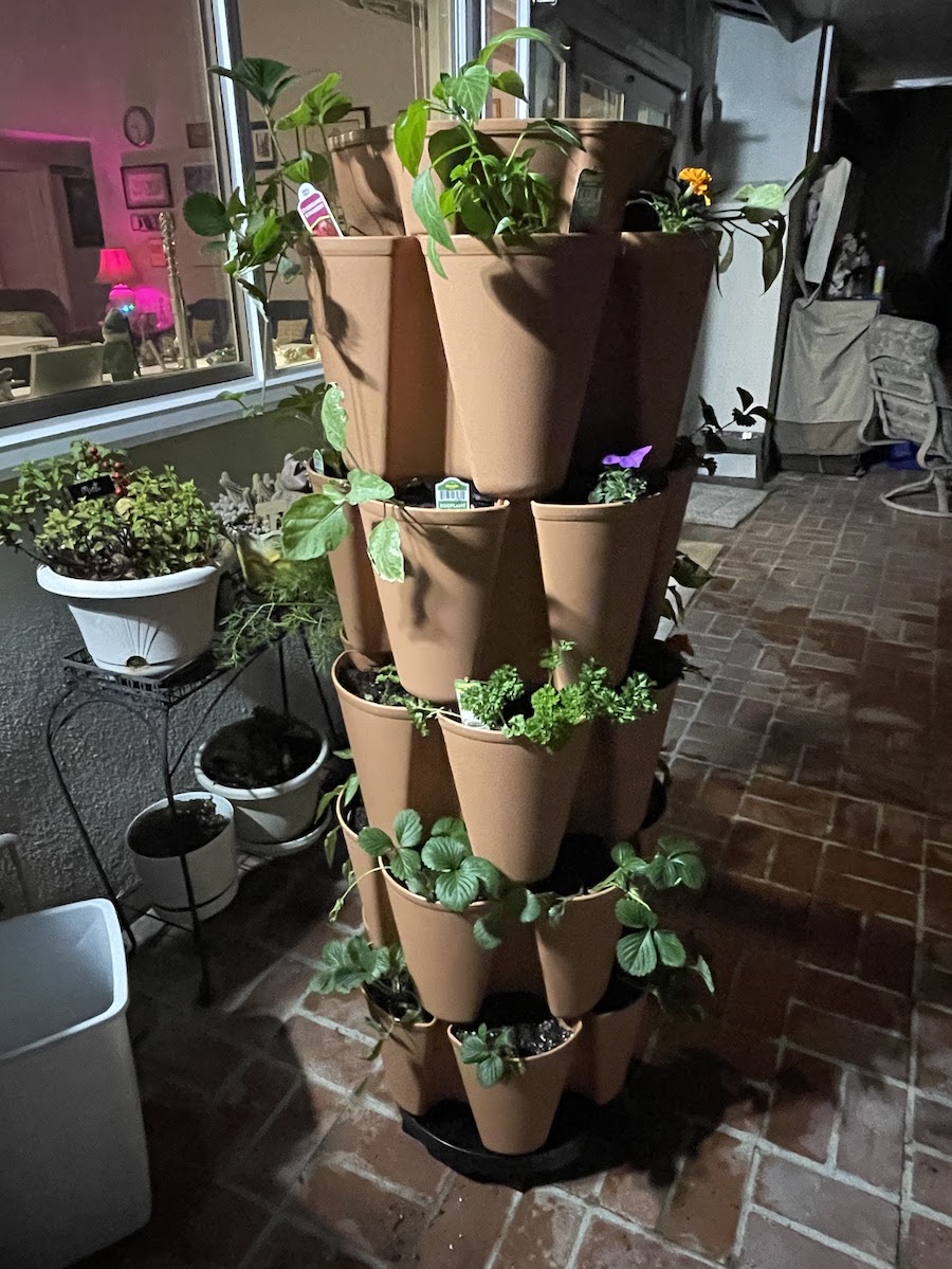 April in our 2023 garden