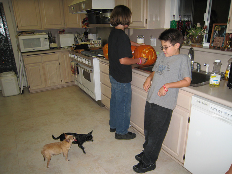 Pumpkin carving 2008