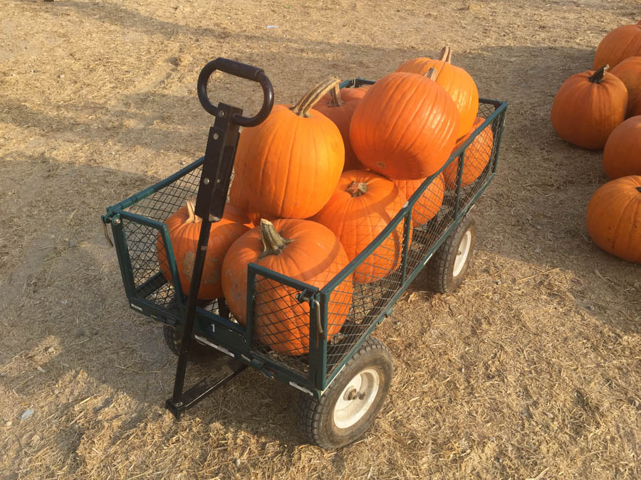 Pumpkin carving 10/25/2015