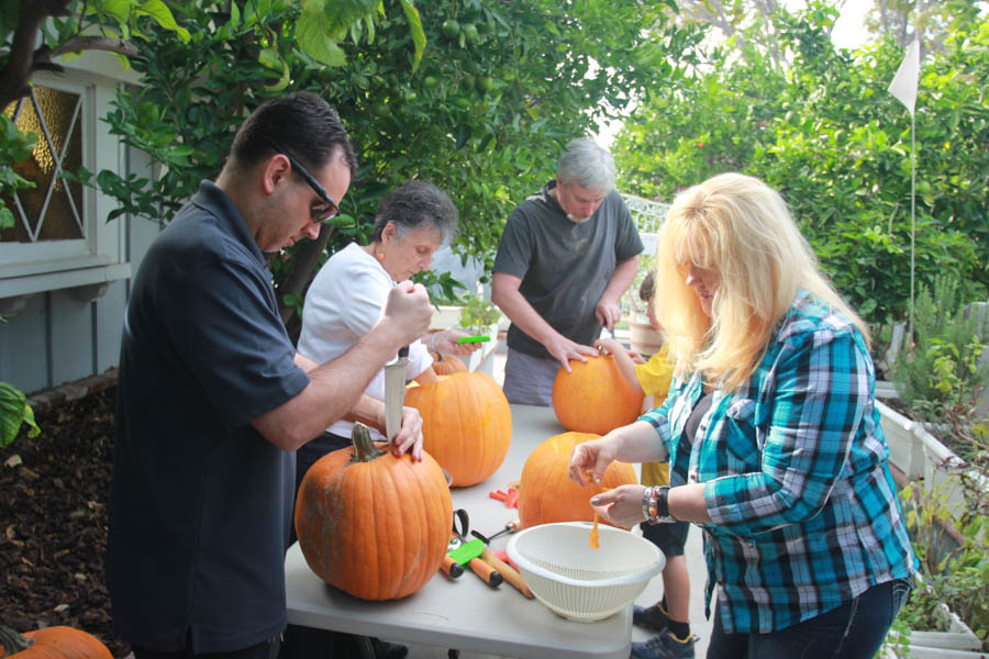 Pumpkin carving 10/25/2015