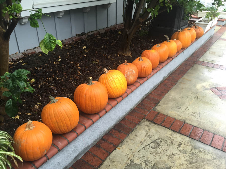 Pumpkin carving 10/25/2015