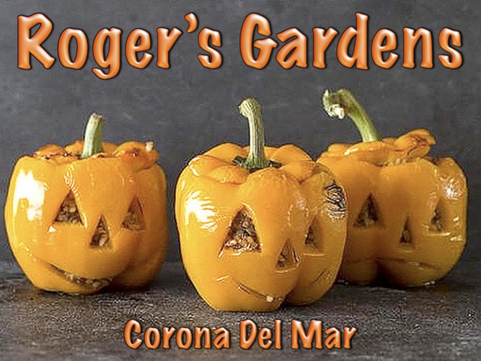 Rogers Gardens Begins The Season