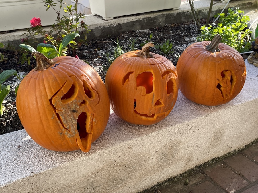 Pumpkin Carving 2022