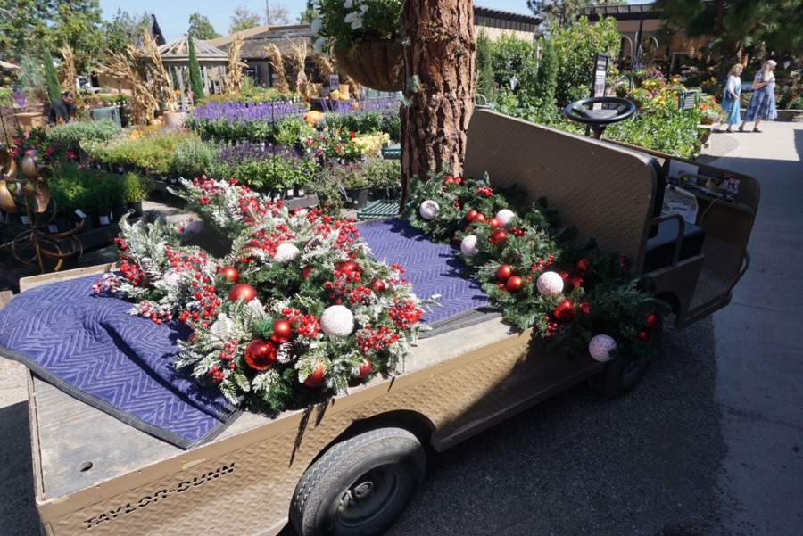 Roger's Gardens At Halloween 2022