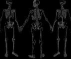 Halloween background images