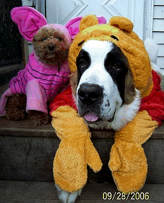 Doggies and Halloween