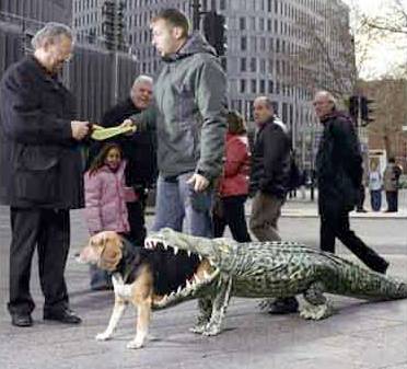 Doggies and Halloween